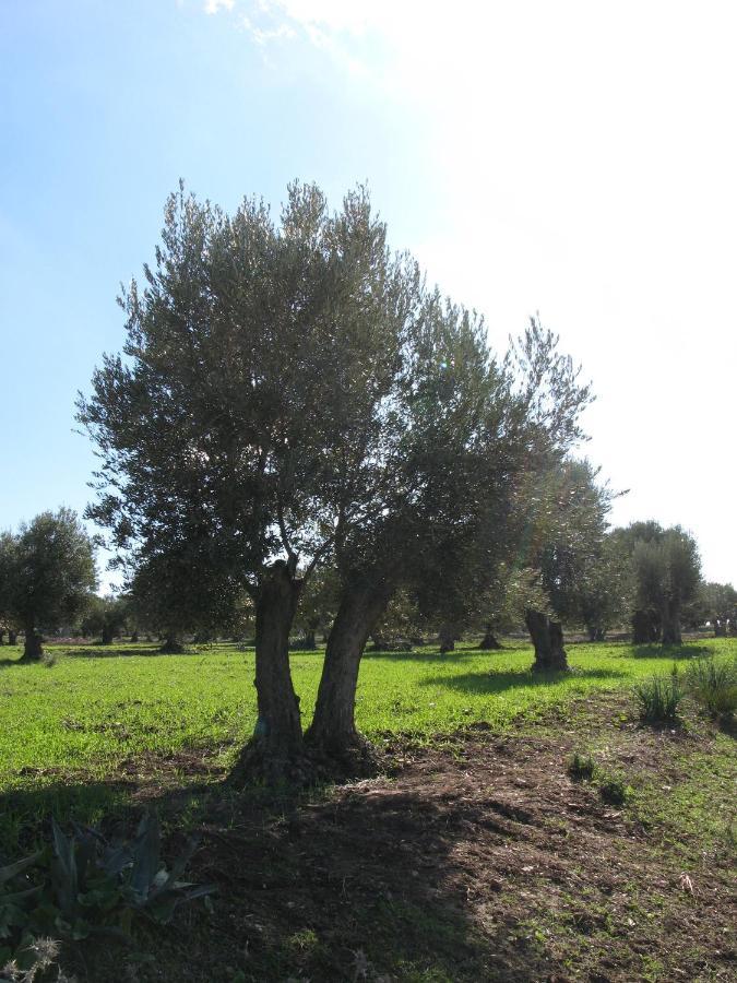 Derdara Auberge Dardara المظهر الخارجي الصورة