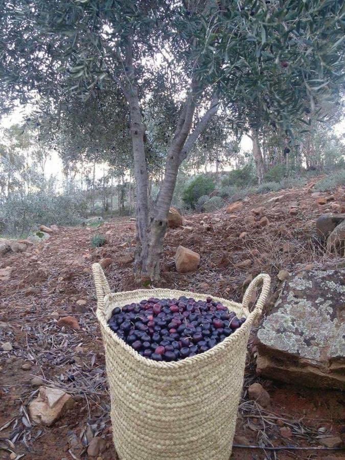Derdara Auberge Dardara المظهر الخارجي الصورة