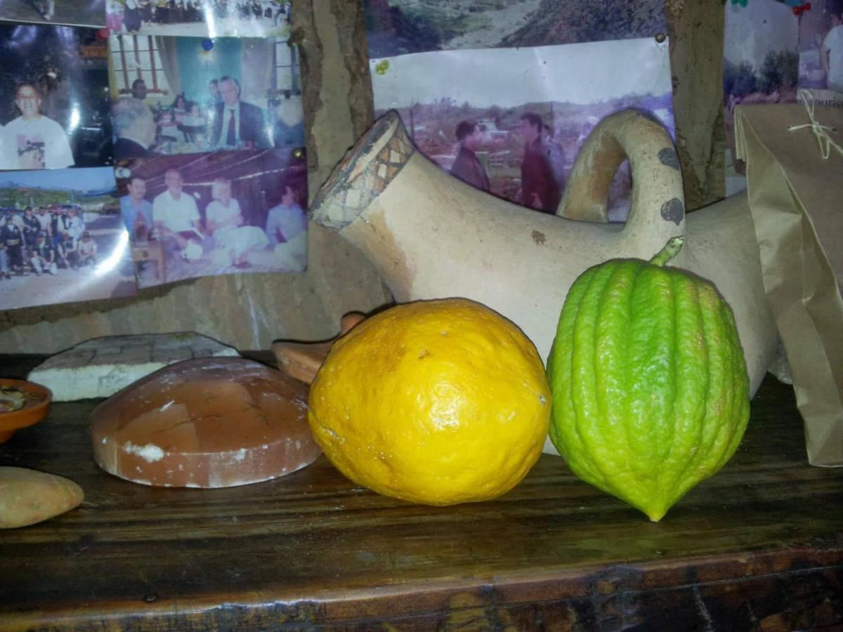 Derdara Auberge Dardara المظهر الخارجي الصورة