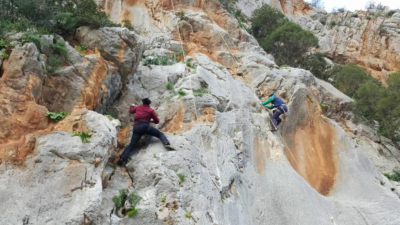 Derdara Auberge Dardara المظهر الخارجي الصورة